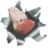 Roze Galah Papegaai Sticker – Australische Vogel D (Voorkant)
