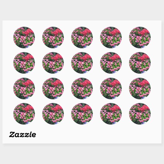 Roze Garden Mums Ronde Sticker (Vel)