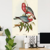 Roze gebrande Cacatua Poster (Thuiskantoor)
