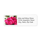 Roze Gedifferentieerde Poinsettias Return Address Etiket (Voorkant)