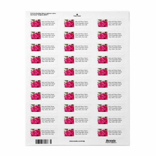 Roze Gedifferentieerde Poinsettias Return Address Etiket (Full Sheet)
