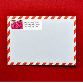 Roze Gedifferentieerde Poinsettias Return Address Etiket