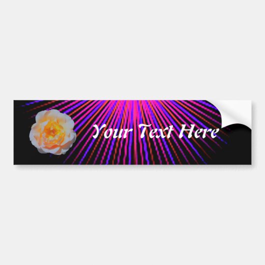 Roze gedistilleerde Roos Bumpersticker (Voorkant)