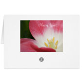 Roze Geel Donkergroen (Achterkant Horizontaal)