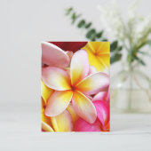 Roze Geel Paarse Plumeria Frangipani Flowers Briefkaart (Staand voorkant)