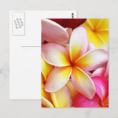 Roze Geel Paarse Plumeria Frangipani Flowers Briefkaart (Voorkant / Achterkant)