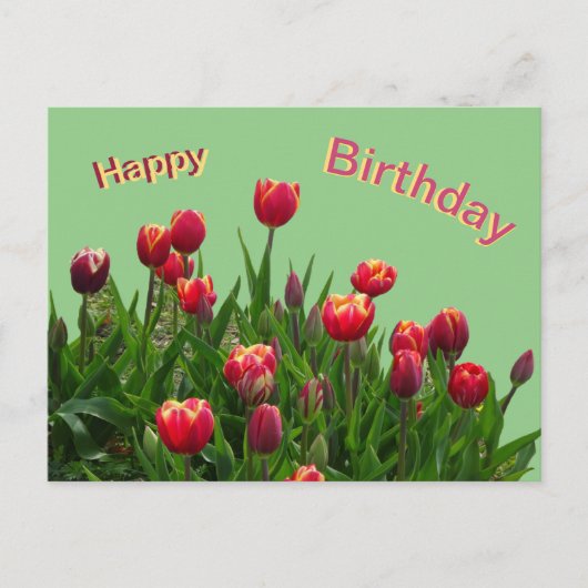 Roze Geel Paarse Tulpen Klant. Verjaardagsansichtk Briefkaart (Voorkant)
