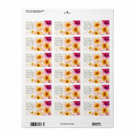 Roze & Geel Tropische Plumeria Adresetiketten Etiket (Full Sheet)