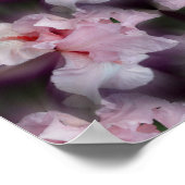 Roze gekaarde irisventilator Abstract Poster (Hoek)