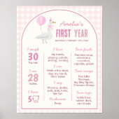 Roze Gekke Goose Balloon Verjaardag Milestone Sign Poster (Voorkant)