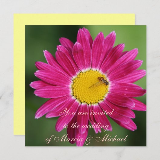 Roze gekleurde Daisy Kaart (Voorkant / Achterkant)