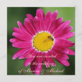 Roze gekleurde Daisy Kaart