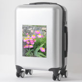 Roze gekleurde daisy wild Flowers Natuur foto Sticker (Koffer)