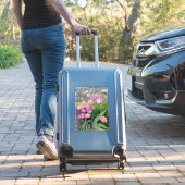 Roze gekleurde daisy wild Flowers Natuur foto Sticker (Koffer Insitu)