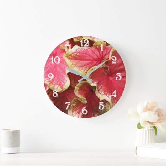 Roze gekreukelde Caladiumbladeren bloem Grote Klok (Huis)