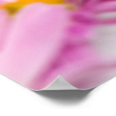 Roze gele bloemen naadloze achtergrond poster (Hoek)