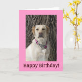 Roze gele draagtas voor vogels kaart (Gele Bloem)