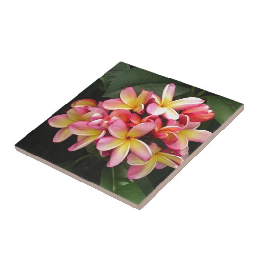 Roze, gele en rode stekelbaars tegeltje (Zijkant)