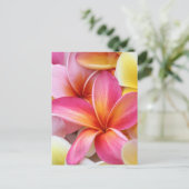 Roze gele Paarse stekelstaartebakker Briefkaart (Staand voorkant)