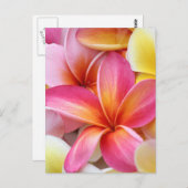 Roze gele Paarse stekelstaartebakker Briefkaart (Voorkant / Achterkant)