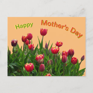 Roze gele Paarse Tulpen Moederdag Briefkaart