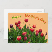 Roze gele Paarse Tulpen Moederdag Briefkaart (Voorkant / Achterkant)
