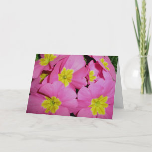 Roze Gele Primrose Note Kaart