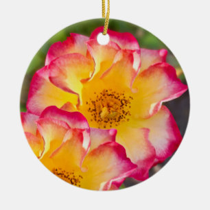 Roze Gele Roos Keramisch Ornament