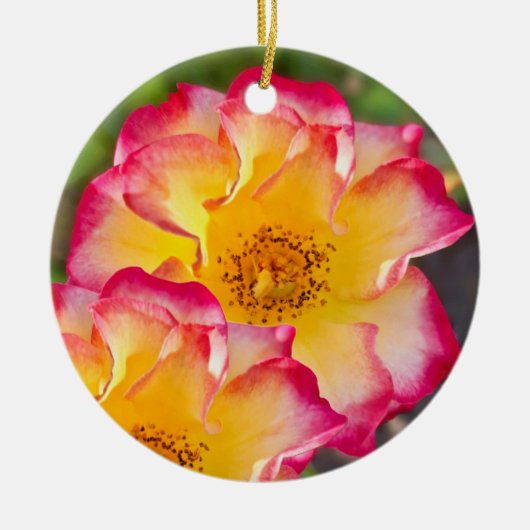Roze Gele Roos Keramisch Ornament (Voorkant)