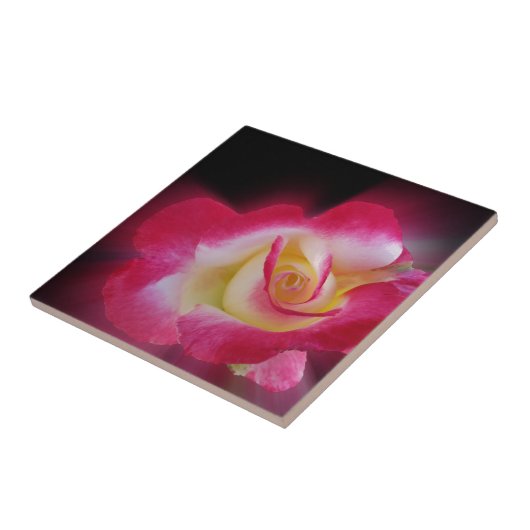 roze gele roos tegeltje (Zijkant)