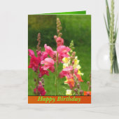Roze Gele Snapdragon Bloem Gelukkige Verjaardag Kaart (Voorkant)