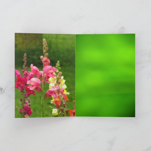 Roze Gele Snapdragon Bloem Gelukkige Verjaardag Kaart (Binnen)