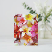 Roze gele witte gemengde pruimen briefkaart (Staand voorkant)