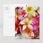 Roze gele witte gemengde pruimen briefkaart (Voorkant / Achterkant)