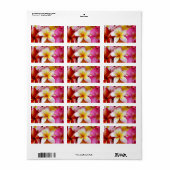 Roze gele witte gemengde pruimen etiket (Full Sheet)