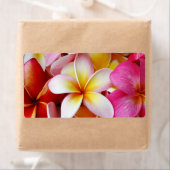 Roze gele witte gemengde pruimen etiket (Insitu)