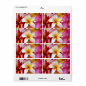 Roze gele witte gemengde pruimen etiket (Full Sheet)