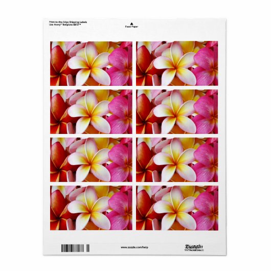 Roze gele witte gemengde pruimen etiket (Full Sheet)