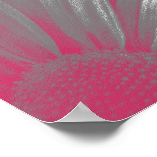 Roze gemarkeerde ventilator poster (Hoek)