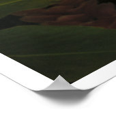 Roze gember geen maryann tropisch Poster afdrukken (Hoek)