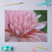 Roze gemberpapier tissuepapier (Craft)