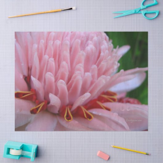 Roze gemberpapier tissuepapier (Craft)