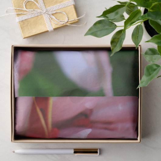 Roze gemberpapier tissuepapier (Geschenk)