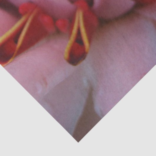 Roze gemberpapier tissuepapier (Detail)