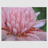 Roze gemberpapier tissuepapier (Voorkant)