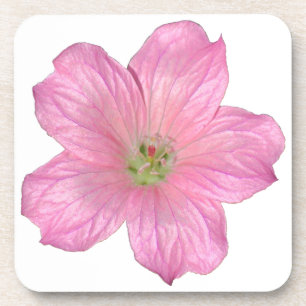 Roze Geranium Bier Onderzetter