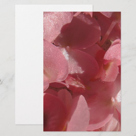 Roze geranium: bijna stevig lichtroze briefpapier (Voorkant / Achterkant)