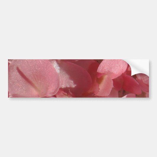 Roze geranium: bijna stevig lichtroze bumpersticker (Voorkant)