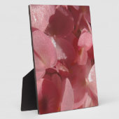 Roze geranium: bijna stevig lichtroze fotoplaat (Zijkant)