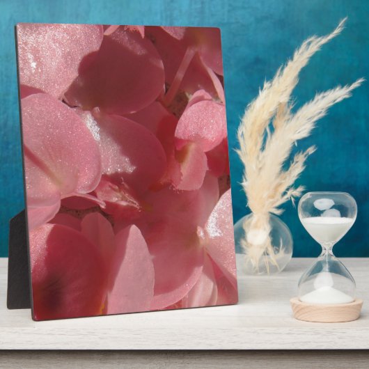 Roze geranium: bijna stevig lichtroze fotoplaat (Zijkant)